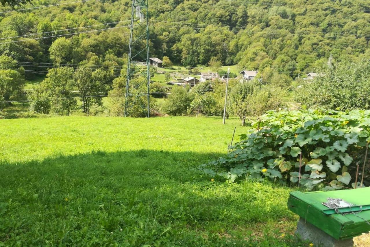 Il Bilocale Della Nonna Villa Locana Eksteriør billede